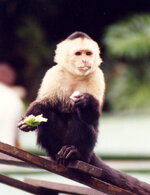 Unbenannt-138.jpg Unbenannt-138.jpg