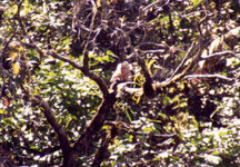 Unbenannt-139.jpg Unbenannt-139.jpg