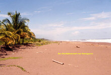 Unbenannt-142.jpg Unbenannt-142.jpg