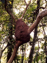 Unbenannt-144.jpg Unbenannt-144.jpg