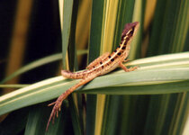 Unbenannt-146.jpg Unbenannt-146.jpg