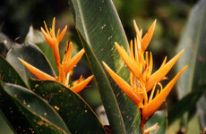 Unbenannt-147.jpg Unbenannt-147.jpg