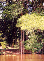 Unbenannt-148.jpg Unbenannt-148.jpg