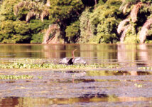 Unbenannt-149.jpg Unbenannt-149.jpg