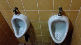 IMG_20151208_170557.jpg IMG_20151208_170557.jpg