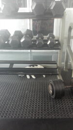 IMG_20151217_080150.jpg IMG_20151217_080150.jpg