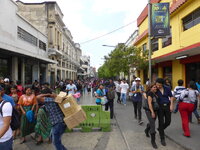 P1050020.JPG
