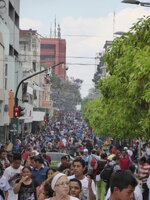 P1050023.JPG
