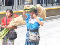 P1050030.JPG