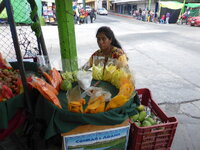 P1050048.JPG