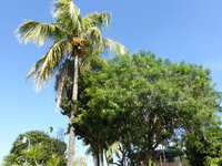 P1050185.JPG