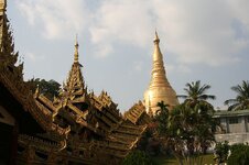 img_9568.jpg