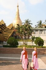 img_9577.jpg