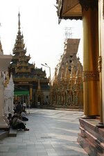 img_9596.jpg