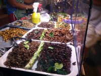 IMG_20160106_212321.jpg IMG_20160106_212321.jpg