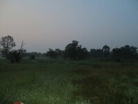IMG_0718.JPG