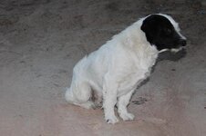 k800_img_9324.jpg