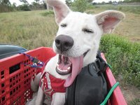 sam_0911.jpg