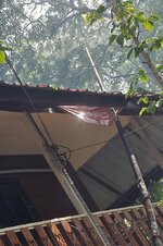 dsc_0679.jpg dsc_0679.jpg