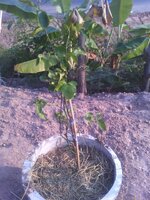 upload_2016-2-19_20-5-56.jpeg