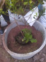 upload_2016-2-19_20-7-49.jpeg