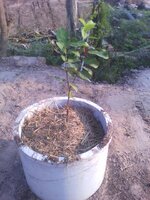 upload_2016-2-19_20-8-9.jpeg