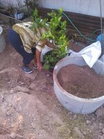 upload_2016-2-19_20-8-41.jpeg