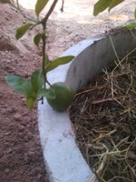 upload_2016-2-19_20-8-58.jpeg
