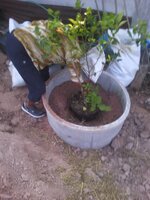 upload_2016-2-19_20-10-8.jpeg
