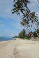 cimg0310.jpg