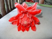 dsc04913.jpg