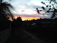 010.jpg
