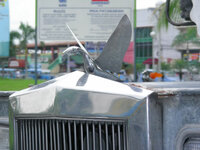 24725152wn.jpg
