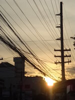 24726529py.jpg