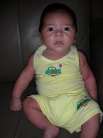 24764101jj.jpg