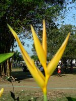 24773810mv.jpg