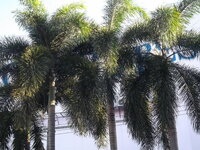 24790115mn.jpg