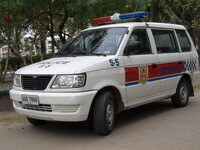 24809379as.jpg
