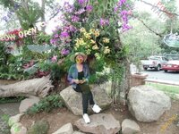 08__pic__001.jpg