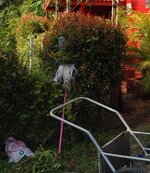 IMG_20151122_160715-Ausschnitt.jpg