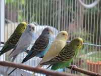 img_5919.jpg img_5919.jpg