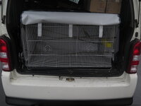 img_6043.jpg img_6043.jpg