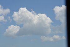 dsc_2907_1123.jpg