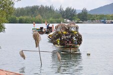 dsc_3027_1158.jpg