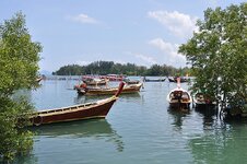 dsc_3025_1157.jpg