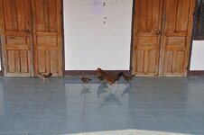 dsc_2383_2841.jpg