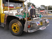24918474yp.jpg