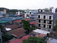 24943359cv.jpg