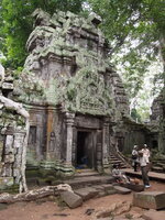 PB172641.jpg