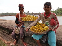 PB172740.jpg PB172740.jpg